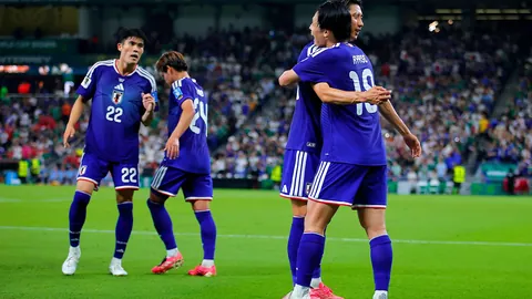世界杯2026买球平台 093303 262