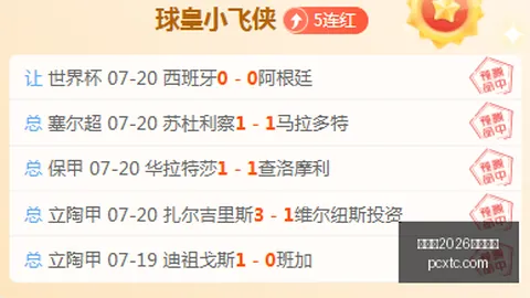 越南联胜回顾巨龙对海豚赛事深度分析：连胜情报解读终极指南